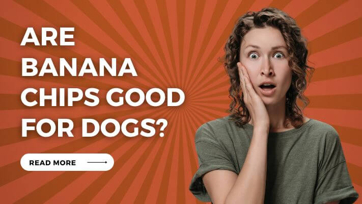 Are Banana Chips Good for Dogs