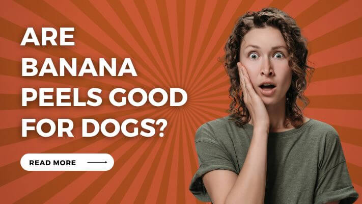 Are Banana Peels Good for Dogs