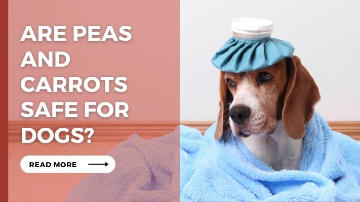 Are Peas and Carrots Safe for Dogs