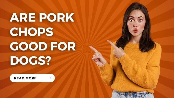 Are pork chops Good for Dogs