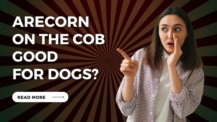 Are Corn on the Cob Good for Dogs