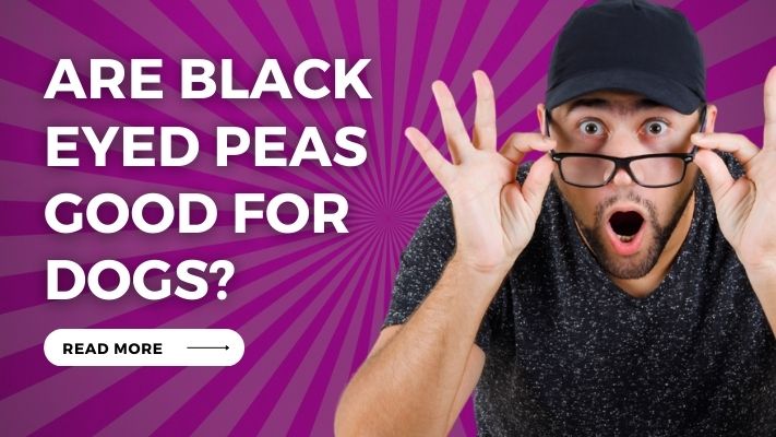 Are Black Eyed Peas Good for Dogs