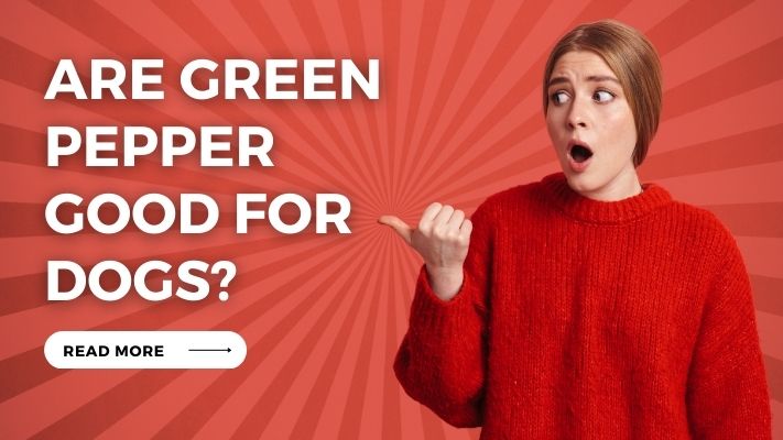 Are Green Pepper Good for Dogs