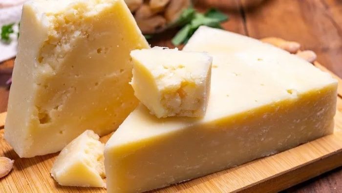 Can Dogs Eat Pecorino Romano Cheese