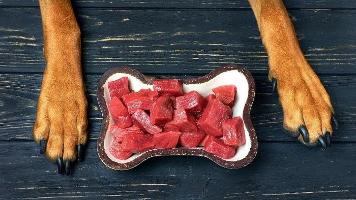 Can Dogs Eat Raw Beef Hearts