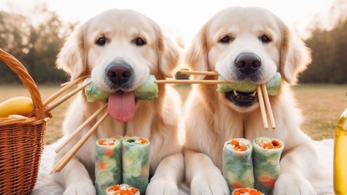 Can Dogs Eat Spring Rolls