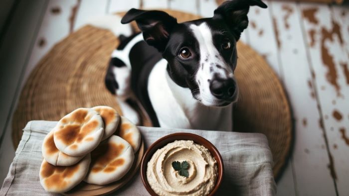 Can Dogs Eat Tahini