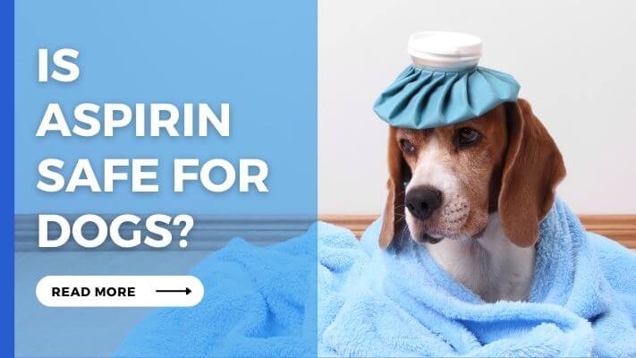 Is Aspirin Safe For Dogs