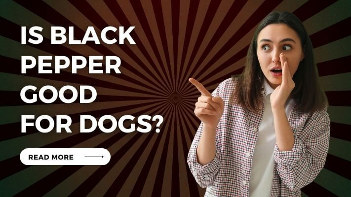 Is Black Pepper Good for Dogs