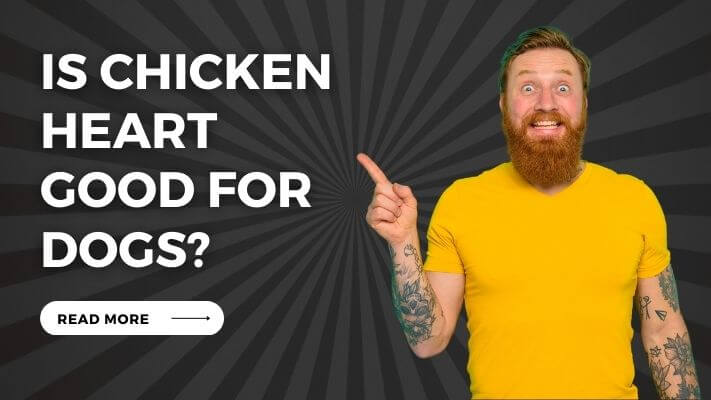 Is Chicken Heart Good for Dogs