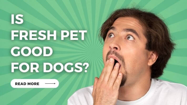 Is Fresh Pet Good for Dogs