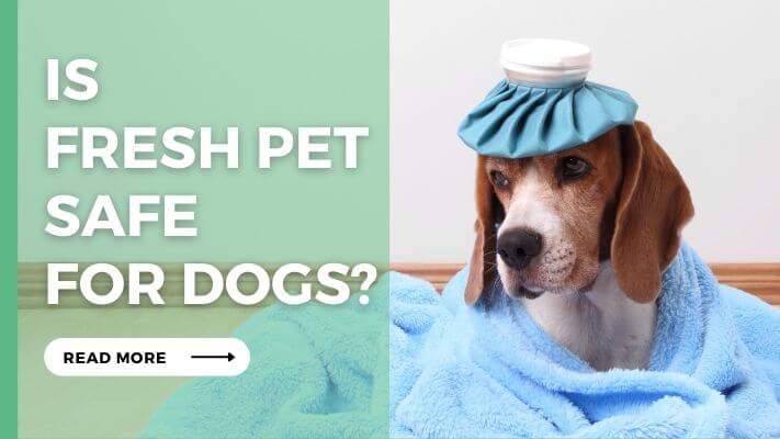 Is Fresh Pet Safe for Dogs