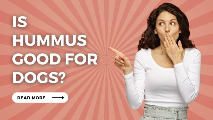 Is Hummus Good for Dogs