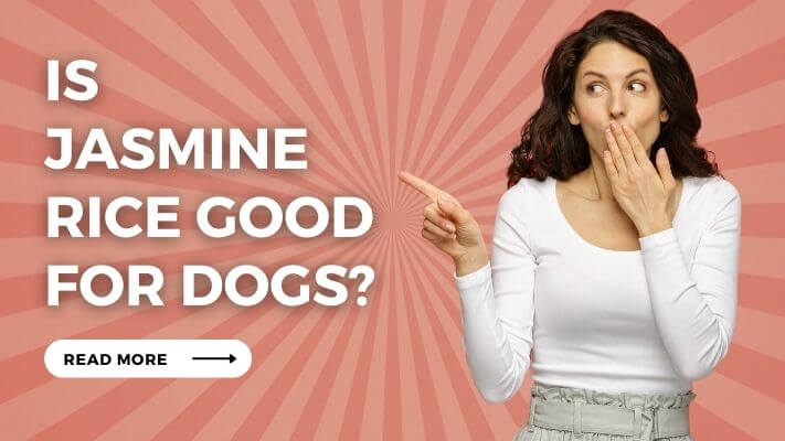 Is Jasmine Rice Good for Dogs