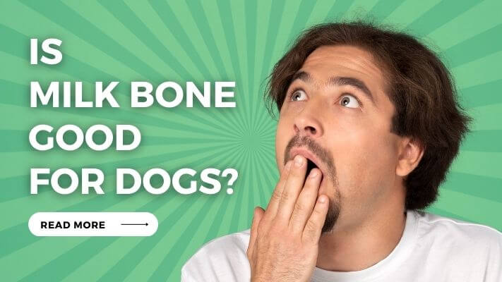 Is Milk Bone Good for Dogs