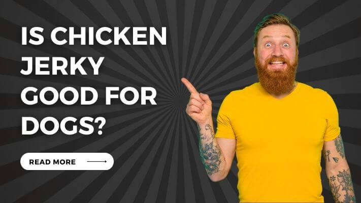 Is chicken jerky Good for Dogs