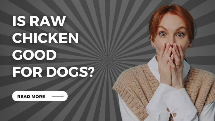 Is raw chicken Good for Dogs