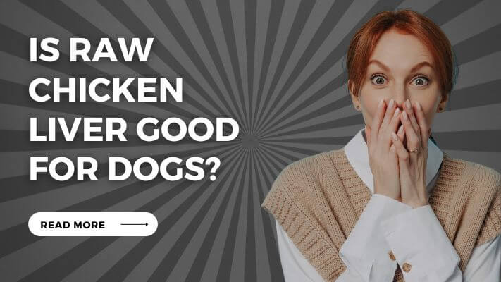 Is raw chicken liver Good for Dogs