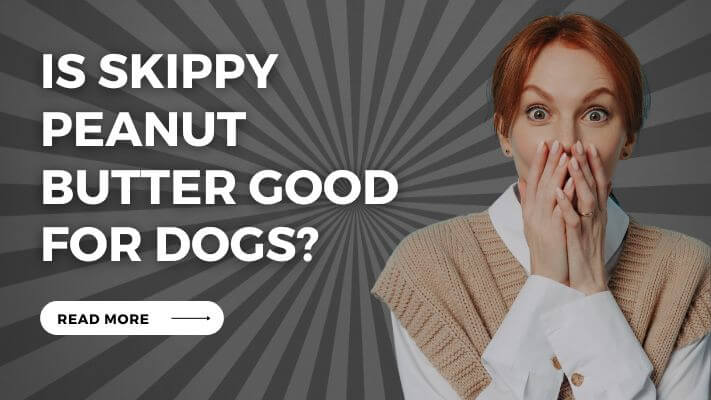 Is skippy peanut butter Good for Dogs