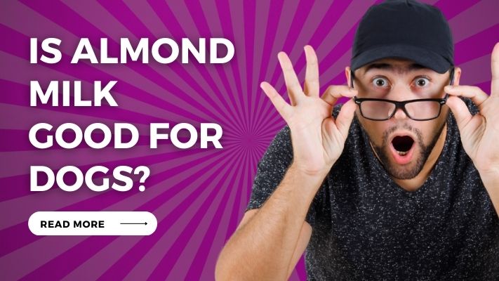 Is Almond Milk Good for Dogs