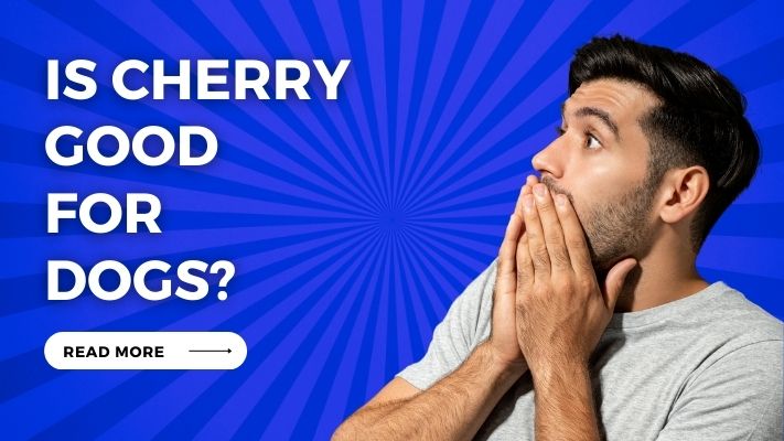 Is Cherry Good for Dogs