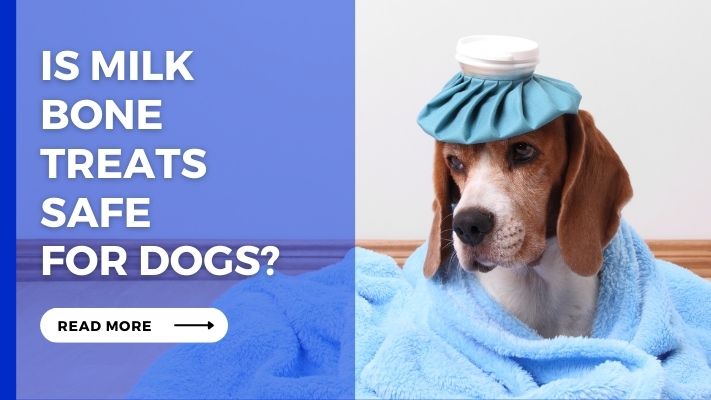 Is Milk Bone Treats Safe for Dogs