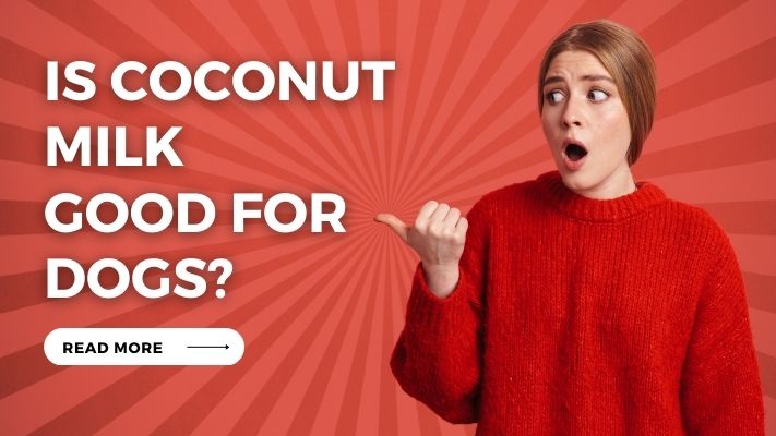 Is coconut milk Good for Dogs