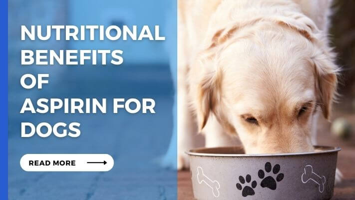 Nutritional Benefits of Aspirin for Dogs