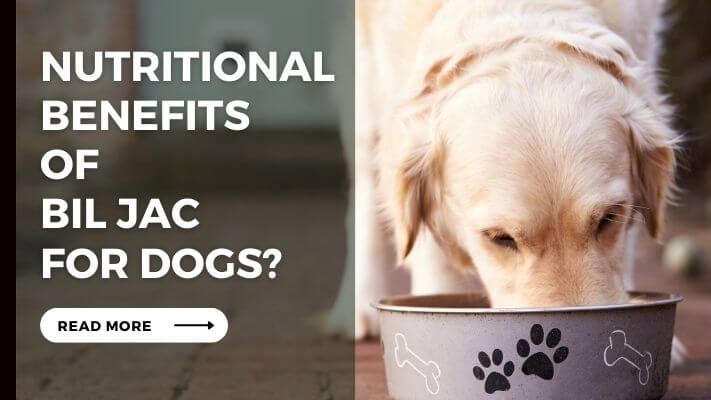 Nutritional Benefits of Bil Jac for Dogs