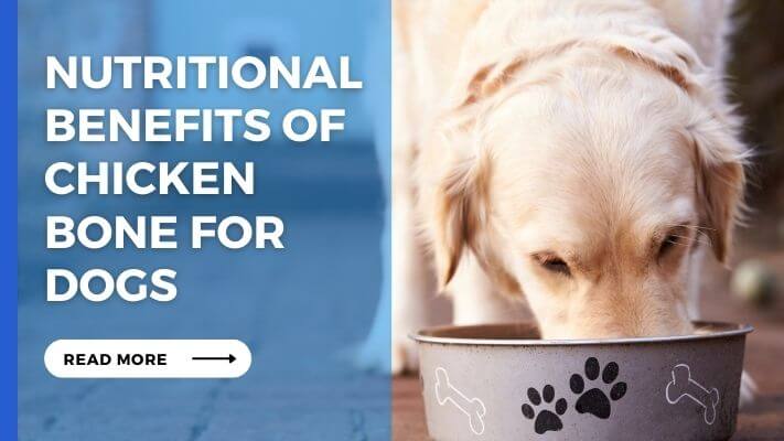 Nutritional Benefits of Chicken Bone for Dogs