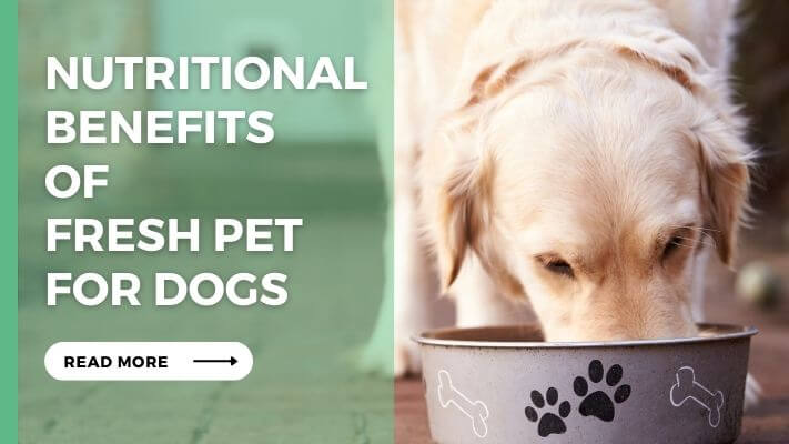 Nutritional Benefits of Fresh Pet for Dogs