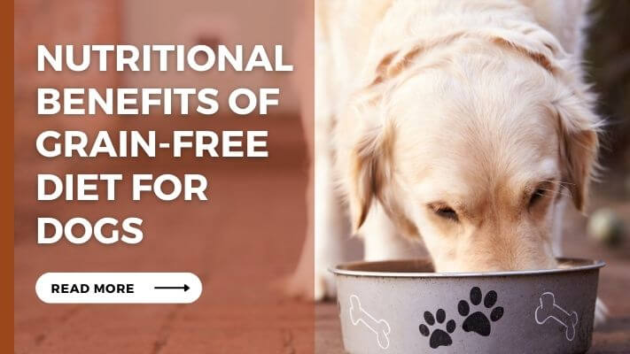 Nutritional Benefits of Grain-Free Diet for Dogs