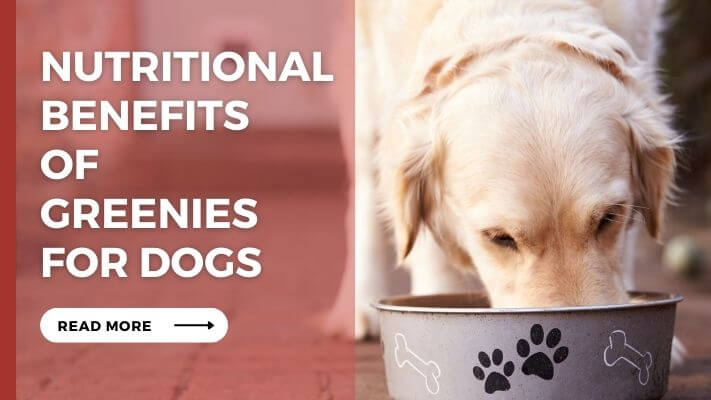 Nutritional Benefits of Greenies for Dogs