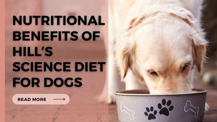 Nutritional-Benefits-of-Hillʼs-Science-Diet-for-Dogs