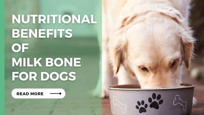 Nutritional Benefits of Milk Bone for Dogs