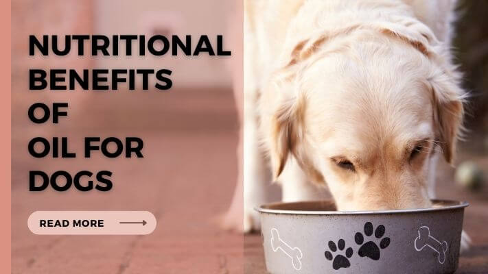 Nutritional-Benefits-of-Oil-for-Dogs