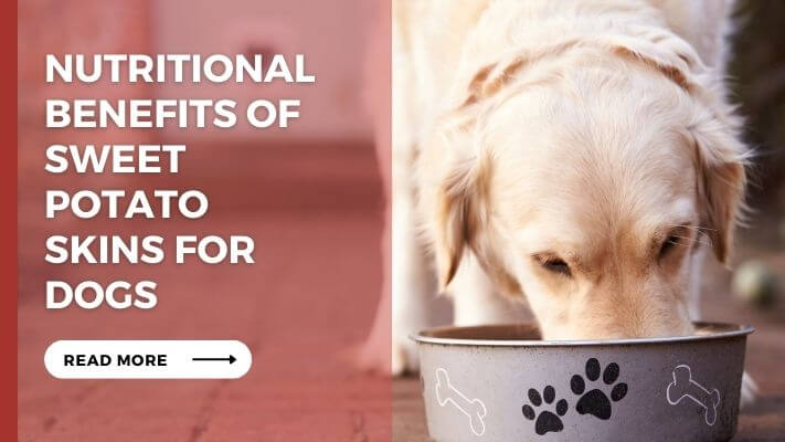 Nutritional Benefits of Sweet Potato Skins for Dogs