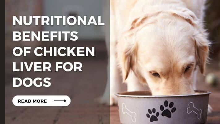 Nutritional Benefits of chicken liver for Dogs