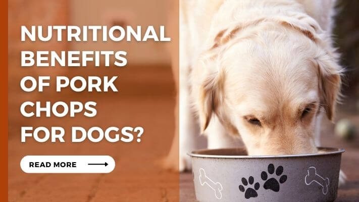 Nutritional Benefits of pork chops for Dogs