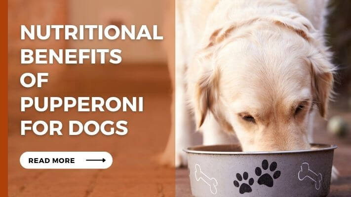 Nutritional Benefits of pupperoni for Dogs