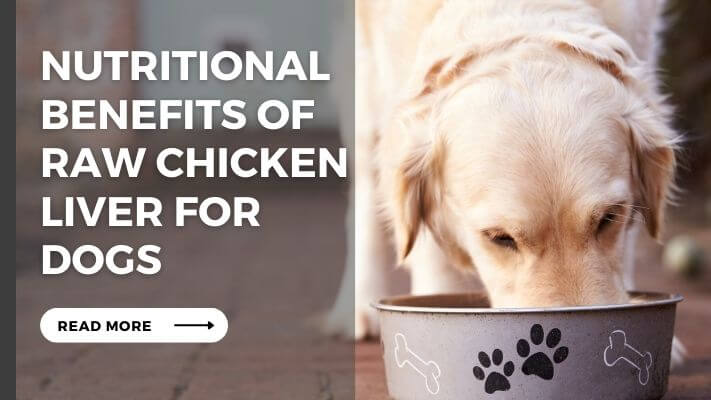 Nutritional Benefits of raw chicken liver for Dogs