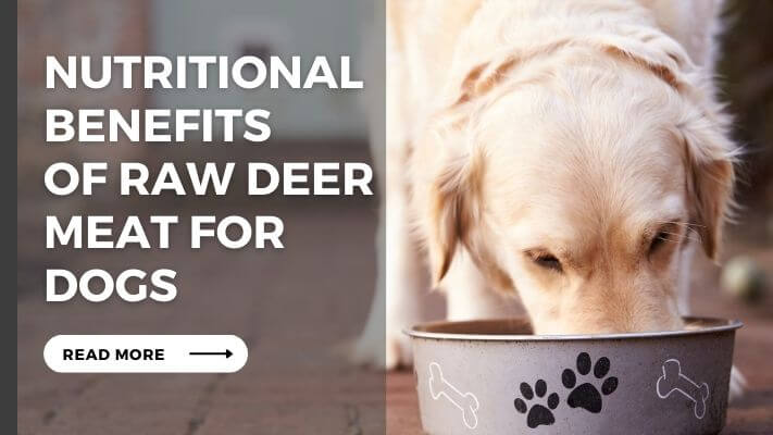 Nutritional Benefits of raw deer meat for Dogs