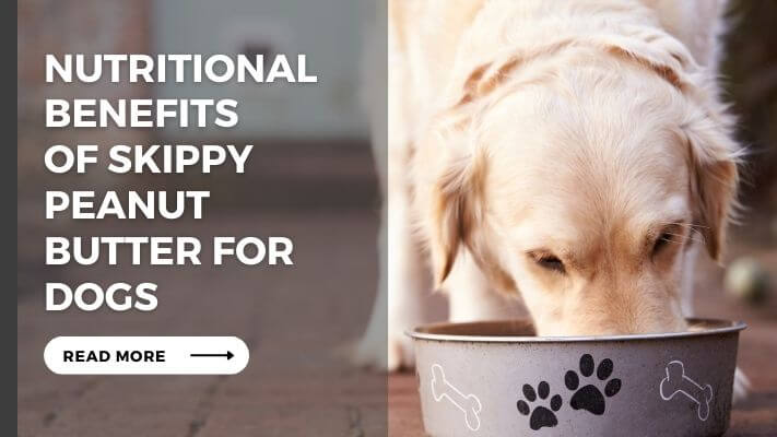 Nutritional Benefits of skippy peanut butter for Dogs