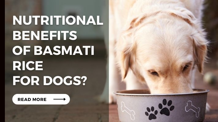 Nutritional Benefits of Basmati Rice for Dogs