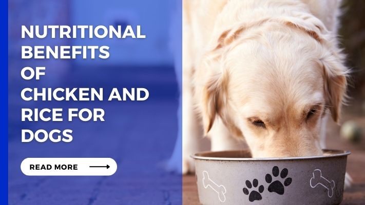 Nutritional Benefits of Chicken and Rice for Dogs