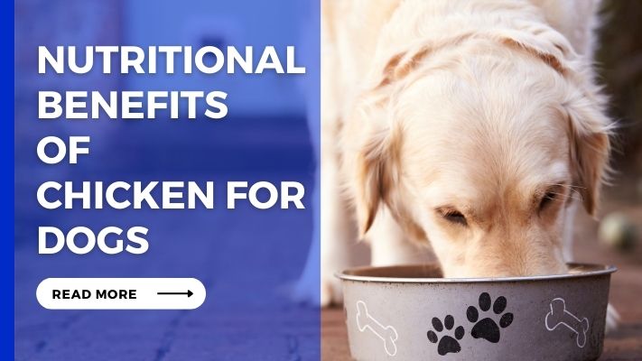 Nutritional Benefits of Chicken for Dogs