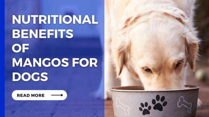Nutritional Benefits of Mangos for Dogs