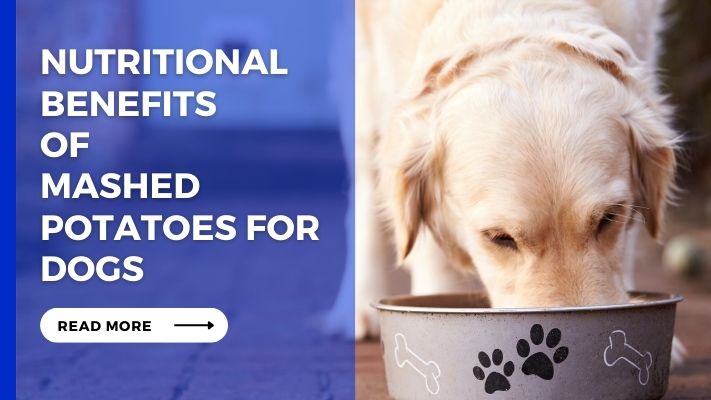 Nutritional Benefits of Mashed Potatoes for Dogs