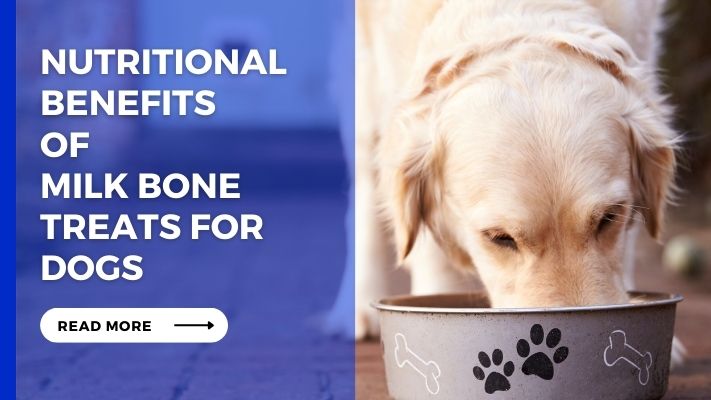 Nutritional Benefits of Milk Bone Treats for Dogs