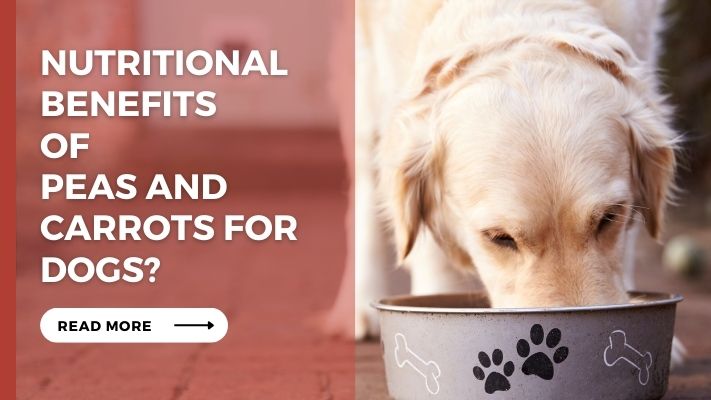 Nutritional Benefits of Peas and Carrots for Dogs